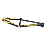 Stay Strong For Life V5.1 Frame 2025 Mini - Pro - Cruiser