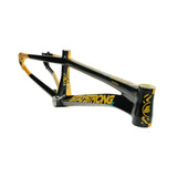 Stay Strong For Life V5.1 Frame 2025 Mini - Pro - Cruiser