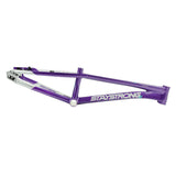 Stay Strong For Life V5.1 Frame 2025 Mini - Pro - Cruiser