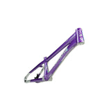 Stay Strong For Life V5.1 Frame 2025 Mini - Pro - Cruiser