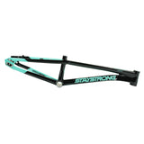 Stay Strong For Life V5.1 Frame 2025 Mini - Pro - Cruiser