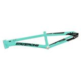 Stay Strong For Life V5.1 Frame 2025 Mini - Pro - Cruiser