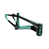 Stay Strong For Life V5.1 Frame 2025 Mini - Pro - Cruiser