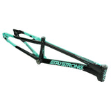 Stay Strong For Life V5.1 Frame 2025 Mini - Pro - Cruiser