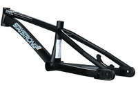Stay Strong For Life V4 Expert Race Frame - Disc Version