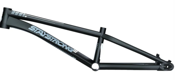 Stay Strong For Life V4 Expert Race Frame - Disc Version