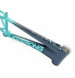 Stay Strong For Life 2023 V5 Race Frames