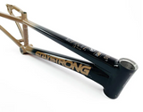 Stay Strong For Life 2023 V5 Race Frames