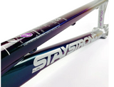 Stay Strong For Life 2023 V5 Race Frames