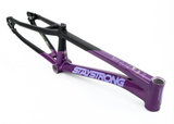 Stay Strong For Life V5 Frame 2025