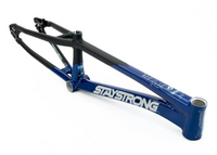 Stay Strong For Life V5 Frame 2025