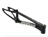 Stay Strong For Life V5 Frame 2025
