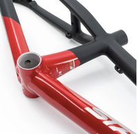 Stay Strong For Life V5 Frame 2025