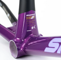 Stay Strong For Life V5 Frame 2025