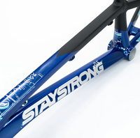 Stay Strong For Life V5 Frame 2025