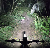 Outbound Lighting Trail Evo Bike Light
